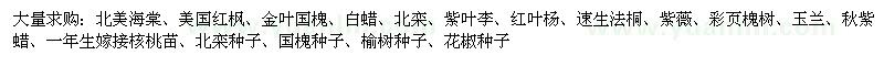 求購北美海棠、美國紅楓、金葉國槐