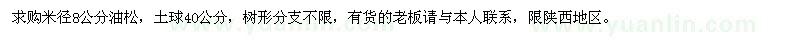 求購米徑8公分油松