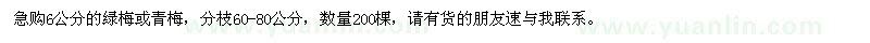 求購6公分綠梅、青梅