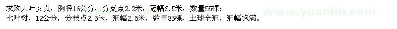 求購大葉女貞、七葉樹