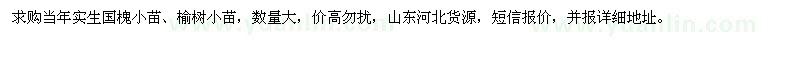 求購(gòu)當(dāng)年實(shí)生國(guó)槐小苗、榆樹小苗