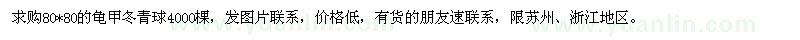 求購龜甲冬青球