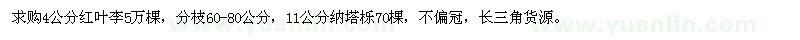 求購(gòu)4公分紅葉李、11公分納塔櫟