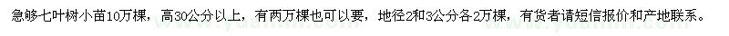 求購(gòu)七葉樹小苗