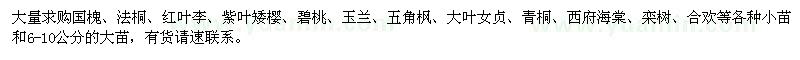 求購國槐、法桐、紅葉李