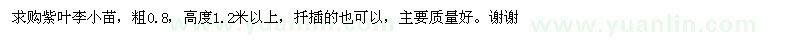 求購(gòu)粗0.8公分紫葉李小苗