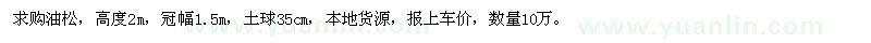 求購高2米油松