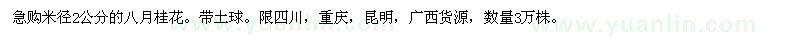 求購米徑2公分八月桂