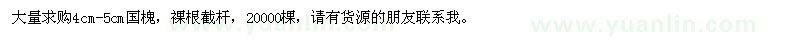 求購4-5公分國槐