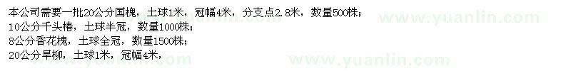 求購國槐、千頭椿、香花槐
