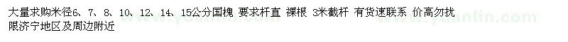 求購(gòu)6、7、8、10、12、14、15公分國(guó)槐