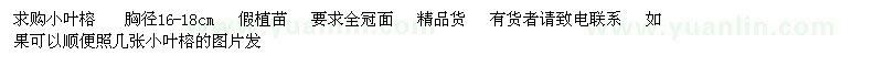 求購小葉榕