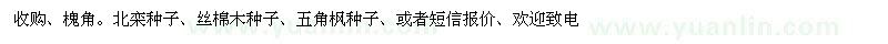 求購槐角、北欒種子、絲棉木種子