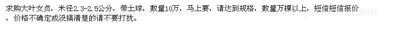 求購米徑2.3-2.5公分大葉女貞