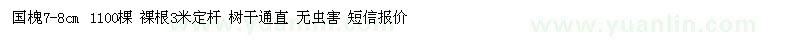 求購(gòu)7-8公分國(guó)槐 