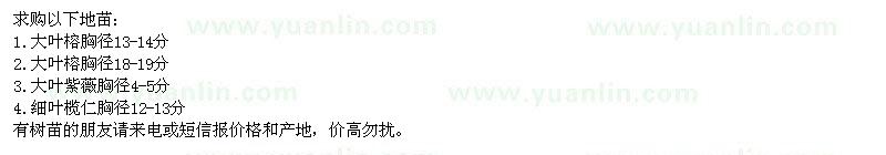 求購大葉榕、大葉紫薇、細(xì)葉欖仁