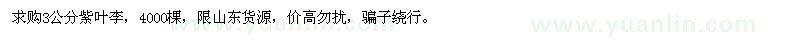 求購3公分紫葉李