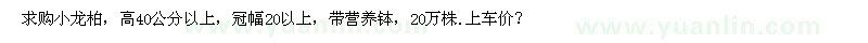 求購40公分以上小龍柏