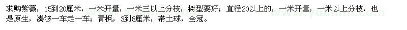 求購紫薇、青楓