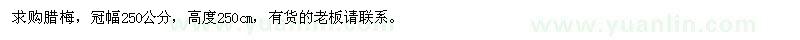 求購冠幅250公分臘梅