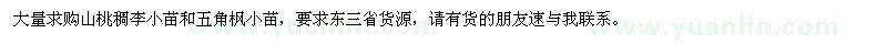 求購山桃稠李小苗、五角楓小苗