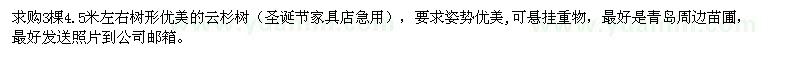 求購4.5米左右云杉樹