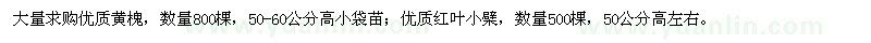 求購黃槐、紅葉小檗