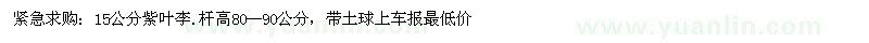 求購(gòu)15公分紫葉李