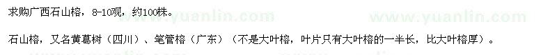 求購廣西石山榕