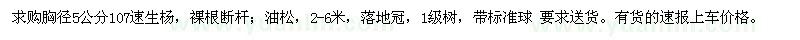 求購(gòu)胸徑5公分107速生楊,2-6米油松