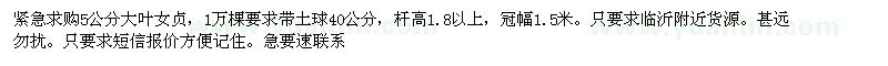 求購5公分大葉女貞