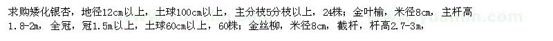 求購矮化銀杏,金葉榆,金絲柳,水杉,法桐