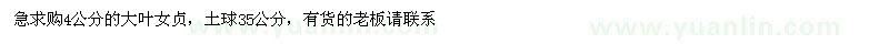 求購急4公分的大葉女貞
