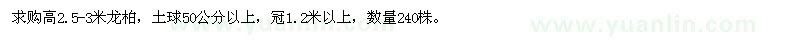 求購高2.5-3米龍柏