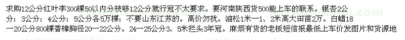 求購(gòu)紅葉李。銀杏。油松。白蠟 