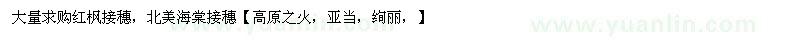 求購紅楓接穗，北美海棠接穗【高原之火，亞當(dāng)，絢麗，】