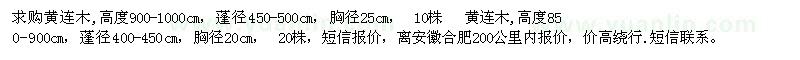 求購黃連木