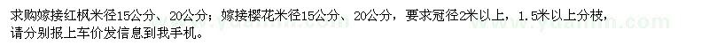 求購嫁接紅楓、櫻花，米徑15、20的