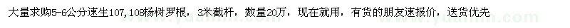 求購5-6個(gè)的速生楊樹