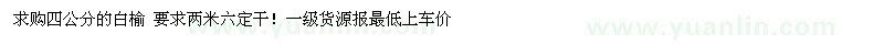 求購四公分的白榆 要求兩米六定干 