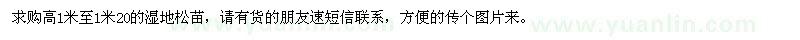 求購濕地松