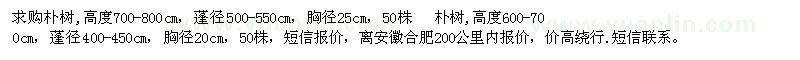求購樸樹,高度700-800cm高度600-700cm