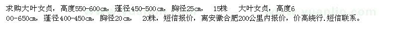 求購(gòu)大葉女貞，高度550-600cm高度600-650cm