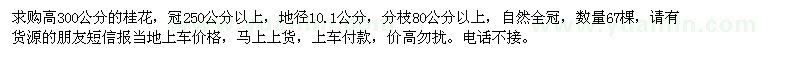 求購高300公分桂花