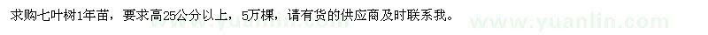求購高25公分以上七葉樹