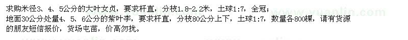 求購大葉女貞、紫葉李
