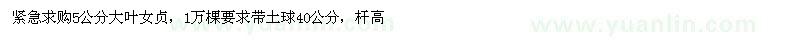 求購5公分大葉女貞
