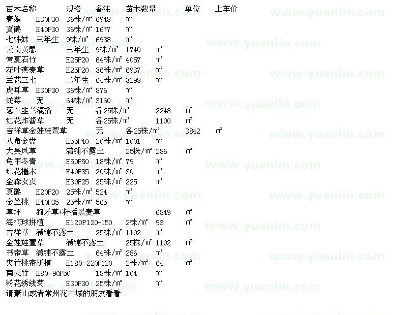 求購(gòu)春鵑、夏鵑、云南黃馨、常夏石竹等苗木