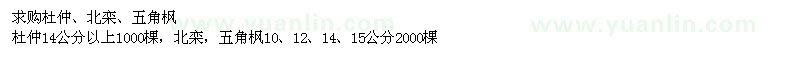 求購杜仲、北欒、五角楓