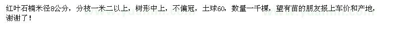 求購(gòu)8公分紅葉石楠